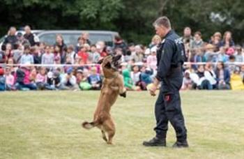 Schulkinder lernen Polizeihunde kennen