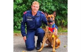 Gold für Polizeihund Defcon bei internationalem Wettbewerb